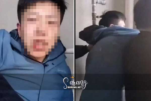 Lelaki dibelasah teruk, dipaksa makan najis selepas video seksa kucing tular