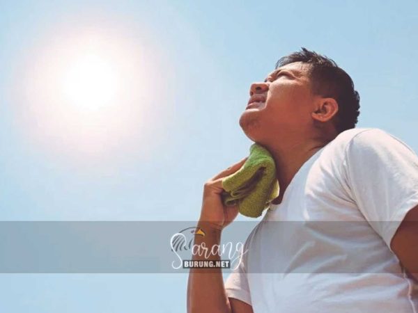 Elak terkena strok haba, orang ramai dinasihat pakai baju putih, warna sejuk